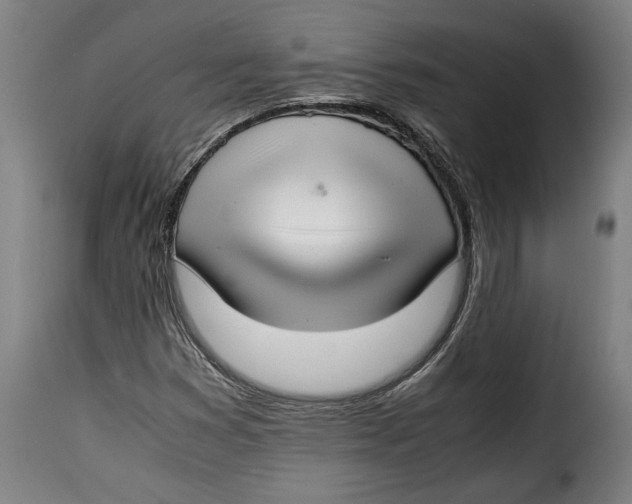 X0000115351353200911241143