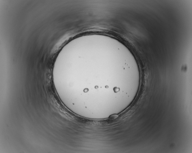 X0000115351355200911241143
