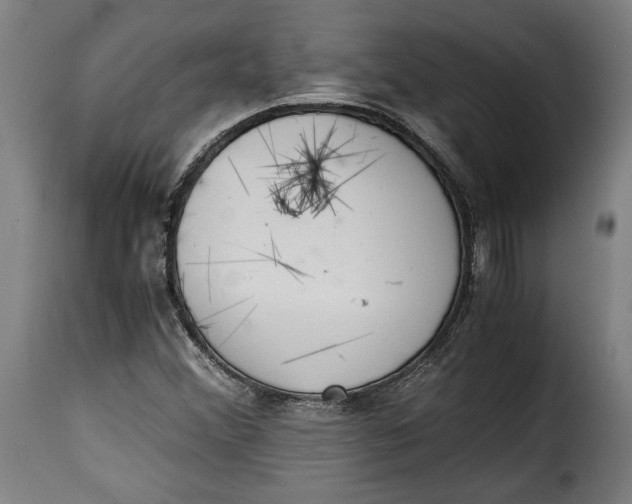 X0000115351356200911241143