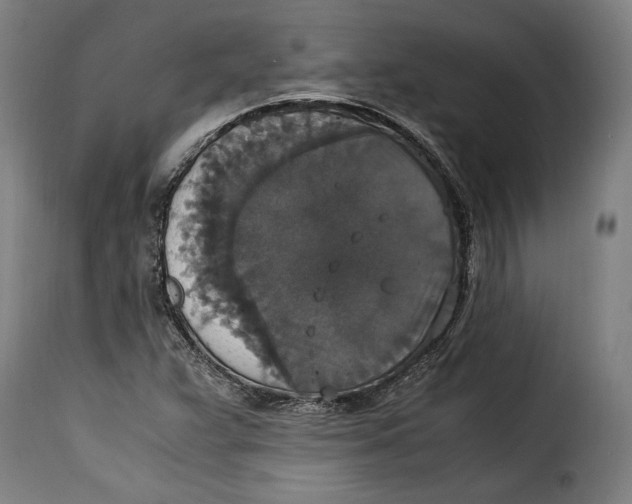 X0000115351359200911241143