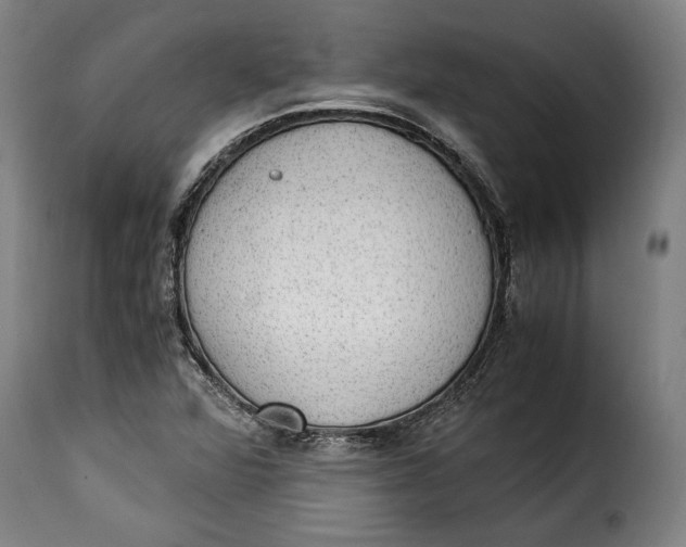 X0000115351360200911241143