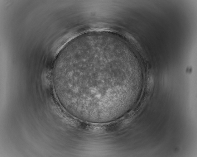 X0000115351361200911241143