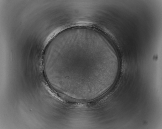 X0000115351362200911241143