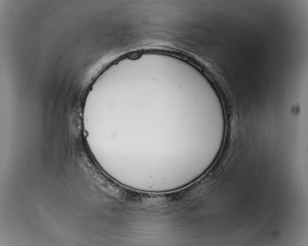 X0000115351363200911241143