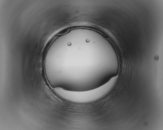 X0000115351364200911241143