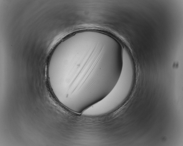 X0000115351365200911241143