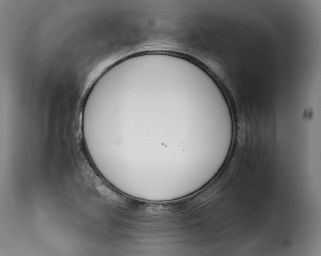 X0000115351366200911241143