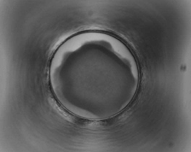 X0000115351367200911241143