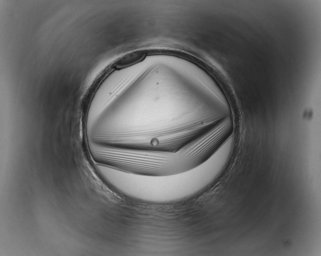 X0000115351368200911241143