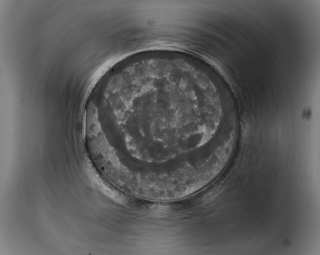 X0000115351371200911241143