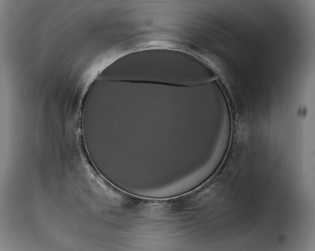 X0000115351373200911241142