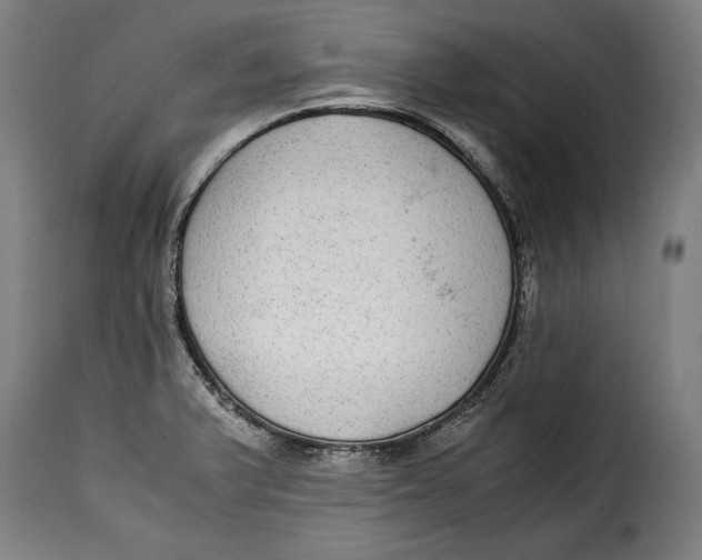 X0000115351375200911241142