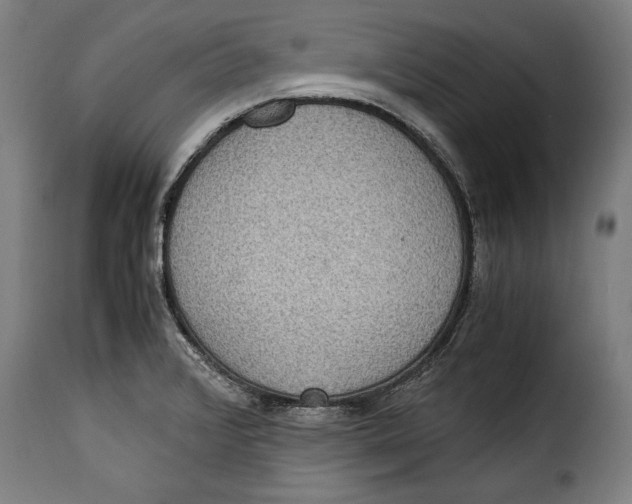 X0000115351376200911241142