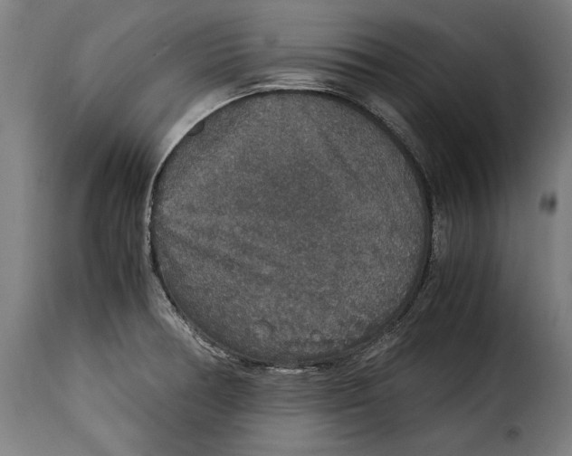 X0000115351378200911241142