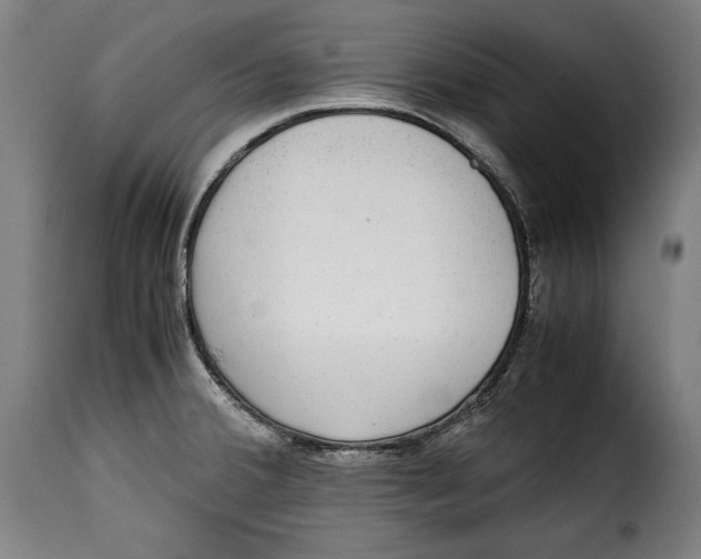 X0000115351380200911241142