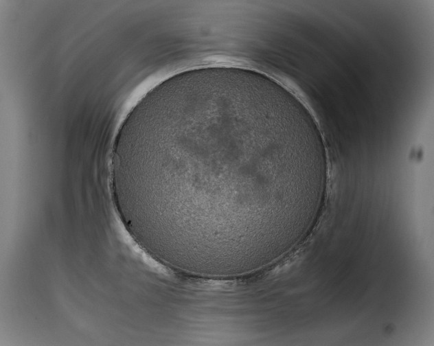 X0000115351381200911241142