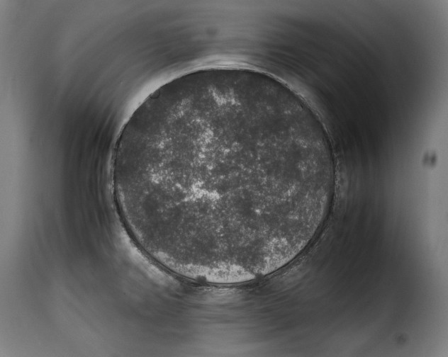 X0000115351382200911241142