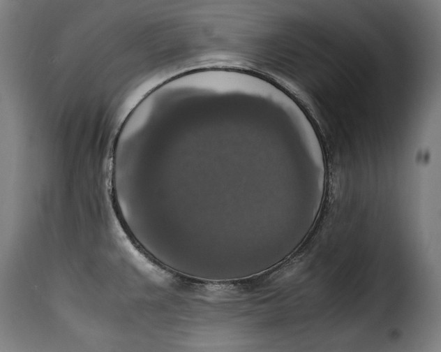X0000115351383200911241142