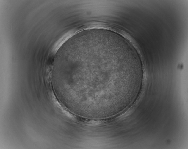 X0000115351385200911241142