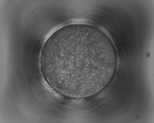 X0000115351386200911241142