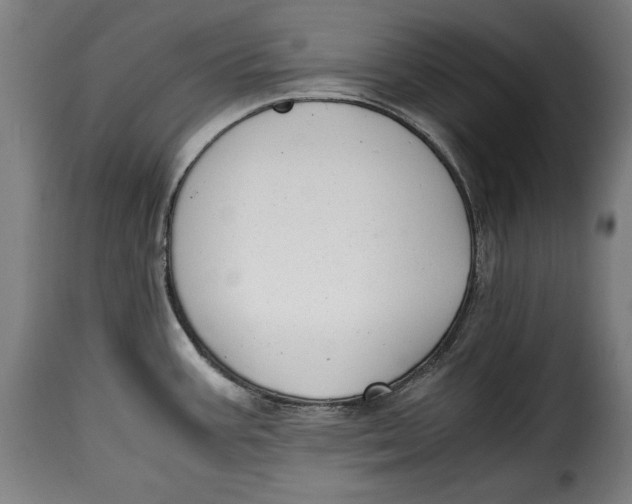 X0000115351387200911241142