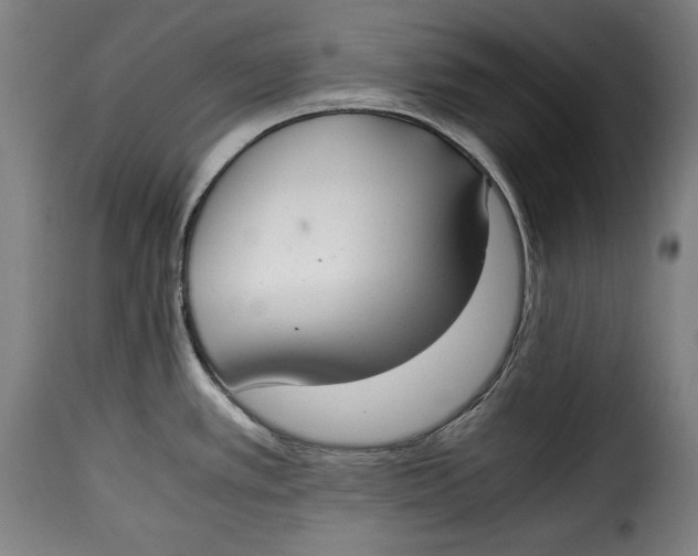 X0000115351389200911241142