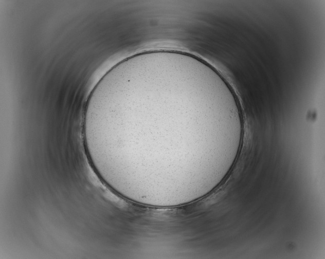 X0000115351390200911241142