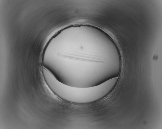X0000115351392200911241142