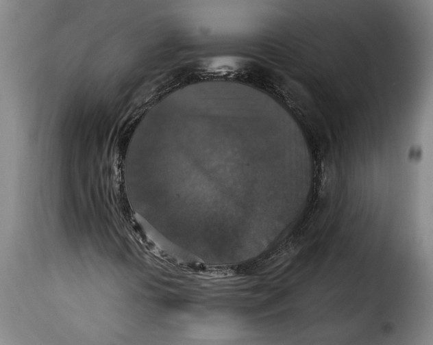 X0000115351394200911241142