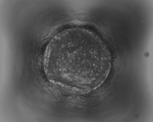X0000115351397200911241142
