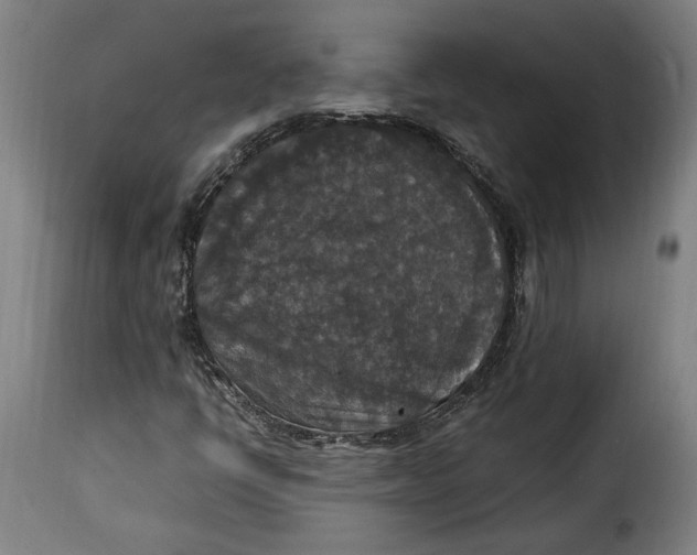 X0000115351398200911241142