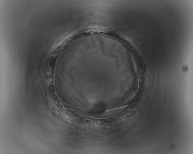 X0000115351399200911241142
