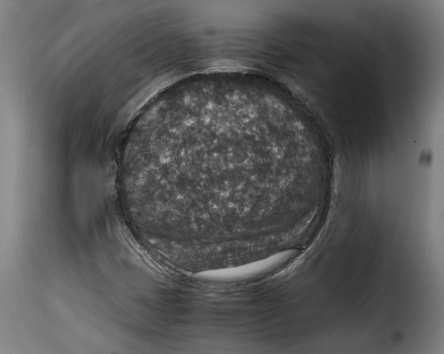 X0000115351401200911241142
