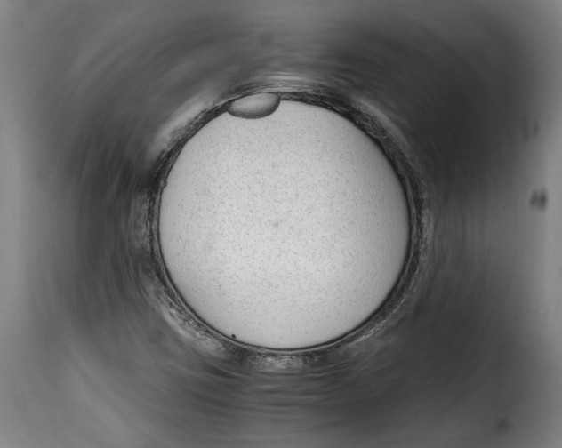 X0000115351403200911241142