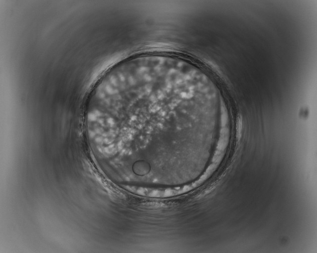 X0000115351405200911241142