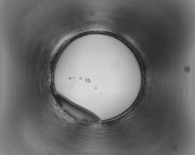 X0000115351408200911241142