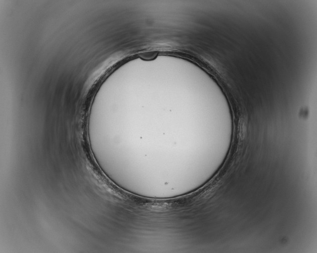 X0000115351410200911241142
