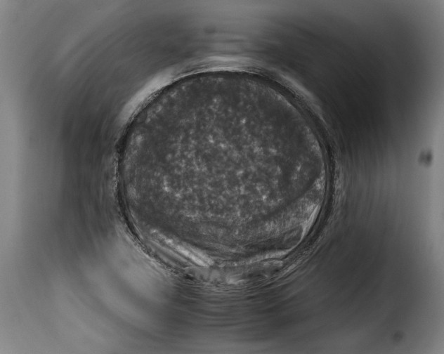 X0000115351411200911241142