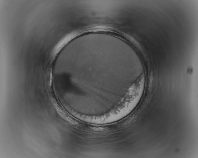 X0000115351413200911241142