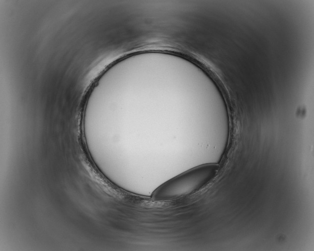 X0000115351415200911241142