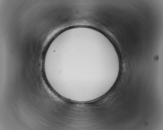 X0000115351416200911241142