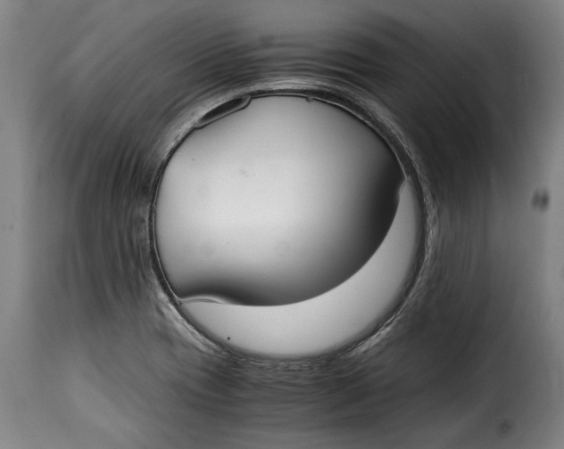 X0000115351417200911241142