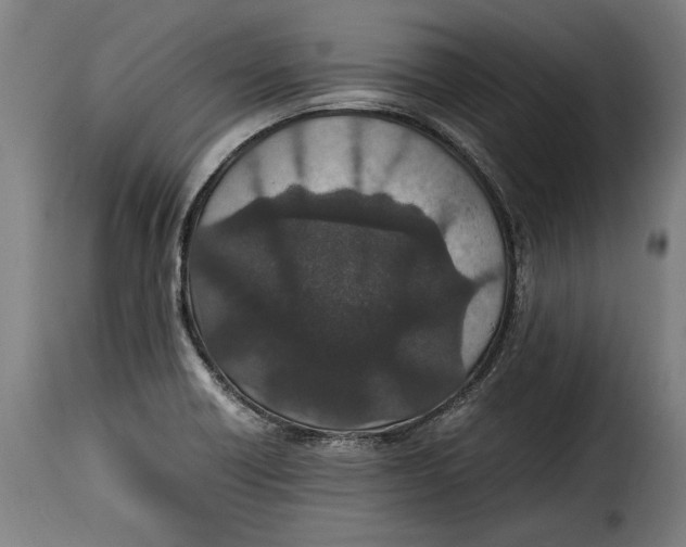 X0000115351418200911241142