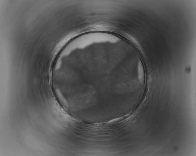 X0000115351419200911241142