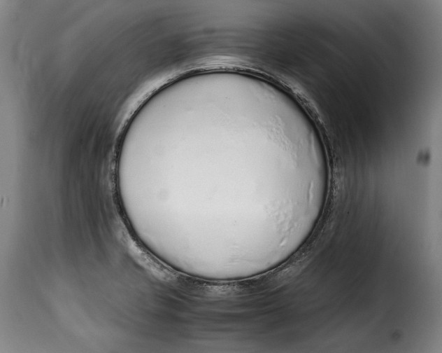 X0000115351421200911241142