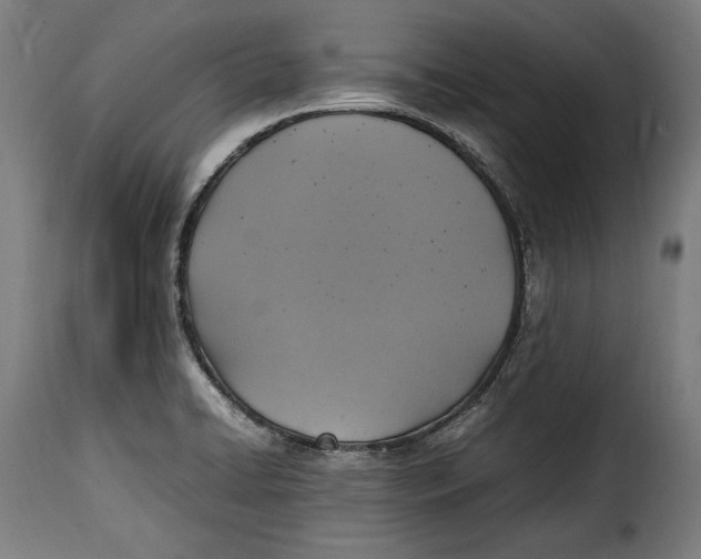 X0000115351422200911241142