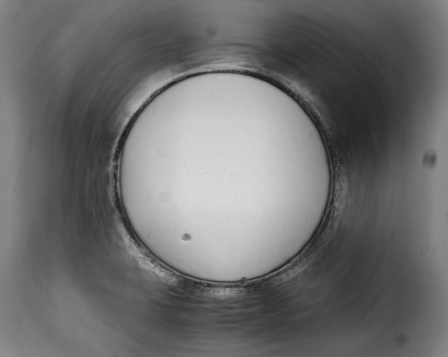 X0000115351423200911241142
