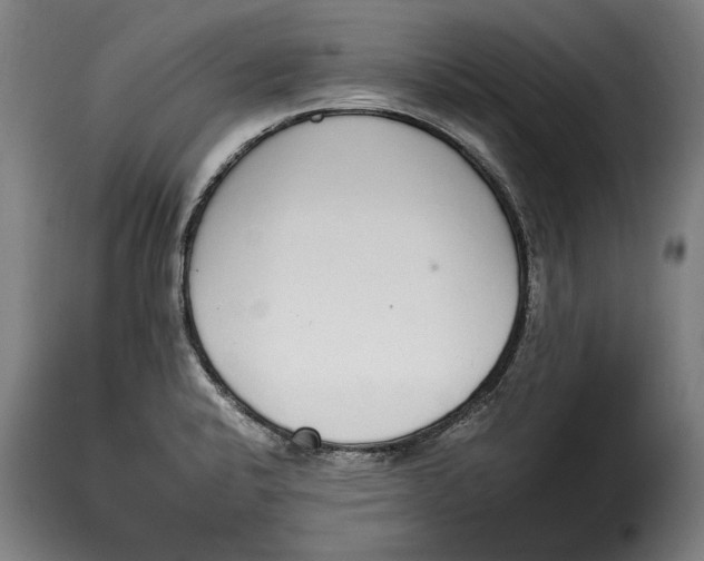 X0000115351424200911241142