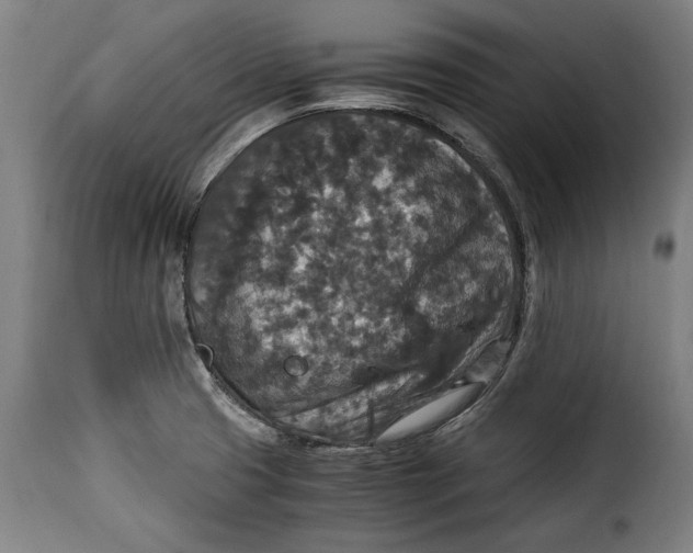 X0000115351425200911241142
