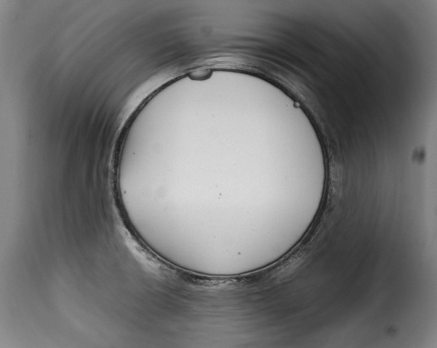 X0000115351426200911241142
